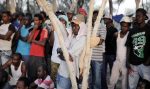 يهود ناجون من المحرقة يعارضون ترحيل السودانيين من اسرائيل