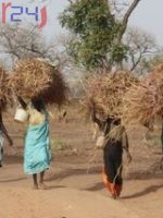 Armed militias in Darfur prevent peasants from reaching their farms