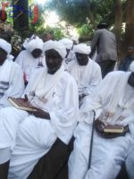 Elders of Rizeigat tribe seek to settle differences between Hemeti and Hilal