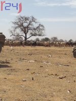 Proliferation of unlicensed firearms fuels tribal fighting in Darfur