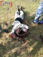 Unknown Gunmen Kill a Tribal Leader in west Darfur