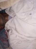 Clashes on the Sudanese-Chadian border leave two people dead