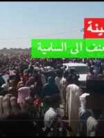 مصادر دارفور24: الوفد المركزي يتوصل لتفاهمات لإنهاء اعتصام الجنينة