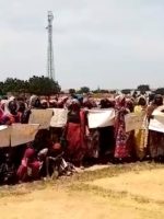 اعتصام مكجر يفتح باب التساؤلات حول مستثمري صمغ اللبان بدارفور