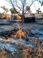 West Darfur govt dispatches joint forces to the tribal conflict area in Kulbus