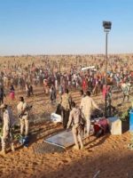 SSC authorizes Govt forces in North Darfur to use force against outlaws