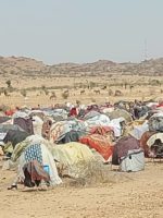Rapists of 6 displaced women arrested in North Darfur