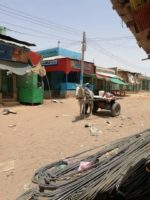 One killed , two injured as federal delegation visits West Darfur