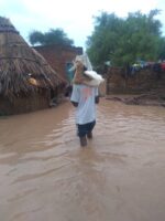 14 people killed, 11,000 houses collapsed as heavy rain hits South Darfur