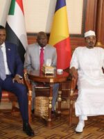 المشتركة السودانية التشادية تسترد المواشي التي نهبها مسلحون تشاديون
