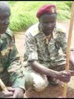 Clashes renewed in South Kordofan between SPLM-N and the Army