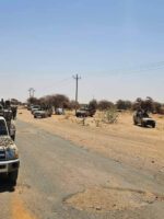 23 people killed as armed militia attack town in North Darfur