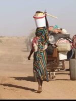 تدهور أوضاع الفارين من أم كدادة بشمال دارفور
