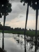 Eight Sudanese Refugees Drowned During Journey to Central African Republic