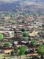 Two Girls Die in South Kordofan After Eating Tree Leaves To Survive