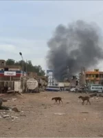 30 Children Killed and Injured in Sennar Shelling, UNICEF Says