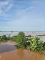 Heavy Rains Kill Family in Kassab Camp, North Darfur