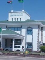 South Darfur Governor Suspends 60 Employees Alleging Cooperation with RSF