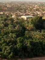Massive Displacement in Kutum to Kassab Camp, North Darfur