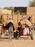 10 Killed in RSF Shelling on IDP Camp in El Fasher