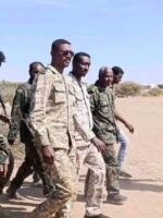 هيومن رايس ووتش: قوات درع السودان ارتكبت جرائم حرب في الجزيرة