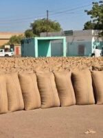 توقف بورصة النهود بغرب كردفان يتسبب في انهيار أسعار المحاصيل