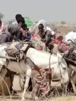 هجوم مسلح على قرية في شمال دارفور يؤدي إلى نزوح جماعي