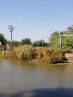 مخاوف من تراجع الاستثمار الزراعي بشمال كردفان بعد نقل محلج الأقطان