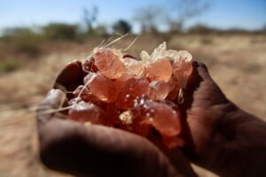 تقرير أممي: الصمغ العربي يغذي الحرب في السودان