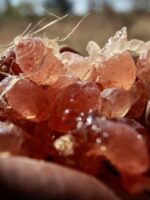 RSF Bans Gum Arabic Exports from Border Regions