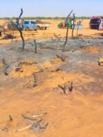 Fire Engulfs Major Market in North Darfur Town