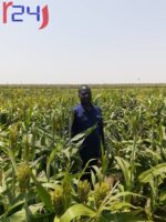Farmer Killed in Armed Attack in Beida, West Darfur