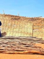 Displaced Community Launches Initiative to Build School in Al-Daein Camp