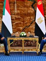 Burhan, Sisi Back Quartet's Proposal to End Sudan War