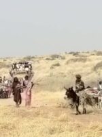 عودة تدريجية لسكان الفاشر وسط تحسن محدود في الخدمات