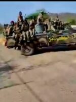 Fierce battles between Sudanese army and SPLM-N leave civilians dead in South Kordofan