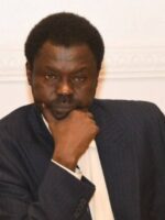 Minawi forms committee for mobilization and popular resistance in Darfur