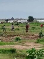 Three Rape Cases Reported Near Atash Camp in South Darfur