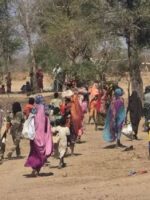 Mass Displacement in Blue Nile Raises Fears of Humanitarian Crisis