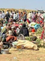 IOM- Hundreds Displaced Across Darfur and Kordofan