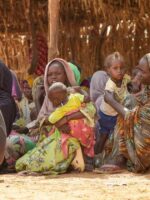 About 65,000 Displaced in Kordofan Amid Escalating Insecurity, IOM Says