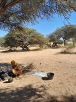 Emergency Room: Over 100 Civilians Killed in Attacks on Northwest Darfur