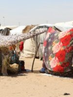 Blue Nile Halts Emergency Committees Amid Worsening Displacement Crisis