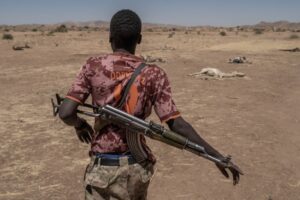 مقتل راعٍ برصاص قوات حركة تحرير السودان