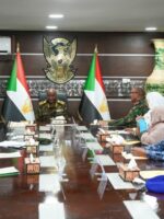 Sudan Security Council Orders Tighter Controls on Armed Presence in Cities