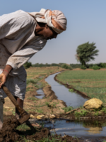 East Darfur Herders Warn of Farmer-Herder Clashes Over Delayed Opening of Livestock Routes