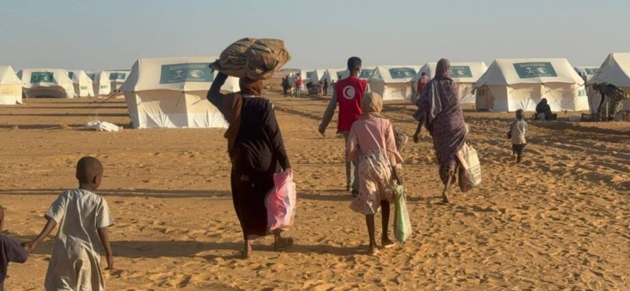 وفاة امرأتين وطفليهما أثناء الولادة في مخيم نازحين بدارفور