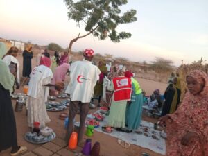 تحرير السودان تجبر الهلال الأحمر على وقف أنشطتها في طويلة