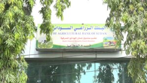 بطء صرف التمويل يهدد زراعة النيل الأزرق