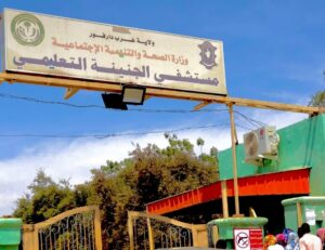 55 وفاة بالملاريا خلال أسابيع في غرب دارفور